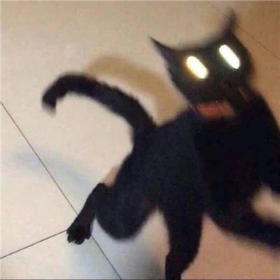 最新版好用的无字表情 什么都没说又好像什么都说了