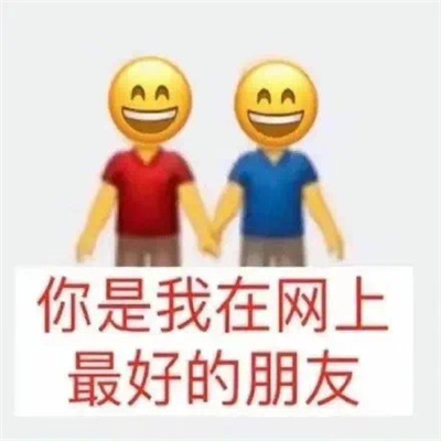 最新超好用的网上冲浪表情 你是我在网上最好的朋友