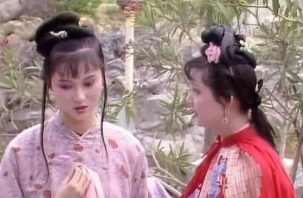 红楼梦中邢岫烟和贾环的处境都很艰难，但受欢迎程度截然相反