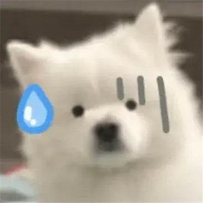 可以用很久的萌宠无字表情 无字版的好笑动物表情合集