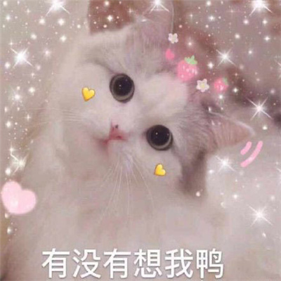 快乐多多的好笑幽默表情 有没有想我鸭