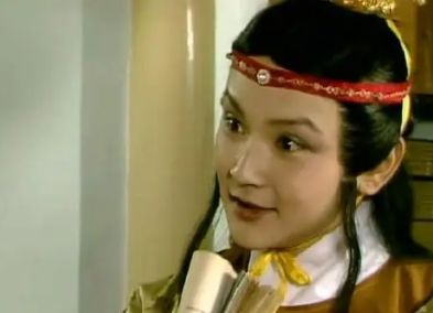 红楼梦中，贾政为什么没有给贾宝玉请私塾先生？