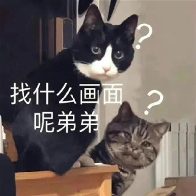 每张都是精品的表情最新版 爆笑的流行表情受欢迎