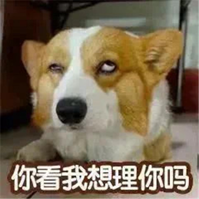 聊天通用表情包微信必备 聊天常用的表情最热