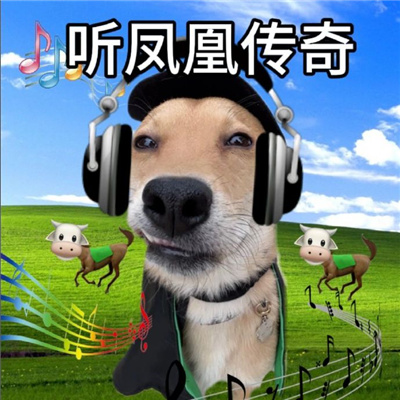 年轻人血脉觉醒的表情包 听凤凰传奇