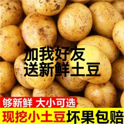 新鲜出炉的很搞笑的表情 加我好友送新鲜土豆