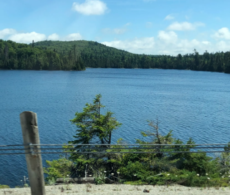 最大的淡水湖位于什么地方？面积有多大？