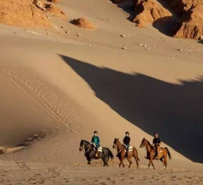 世界&ldquo;干极&rdquo;环境如何？年降水量有多少？