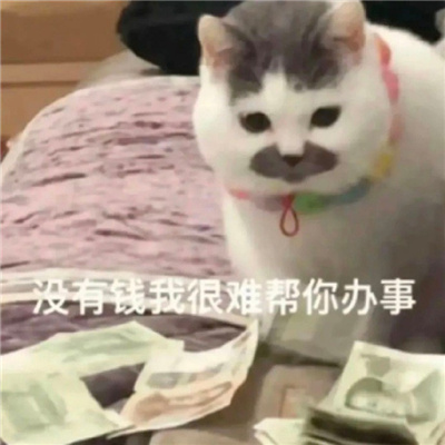 给我们聊天带来快乐的表情 没有钱我很难帮你办事
