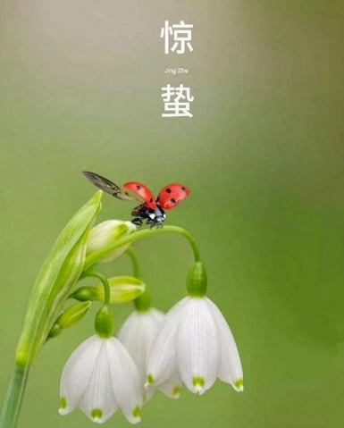 惊蛰节气，这些美食你不能错过！