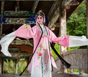 昆剧表演的独特魅力：细腻与雅致的完美结合