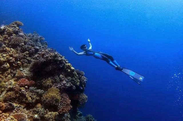 异国婚恋的真实故事(30岁未婚她独自花30万生俩混血宝宝)