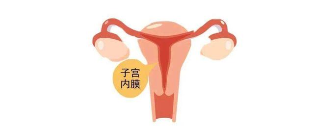 子宫内膜厚度是多少才可以怀孕(子宫内膜厚度多少才能怀孕)