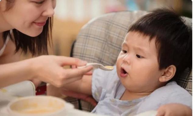 无添加儿童辅食零食（:担心宝宝辅食没味道）