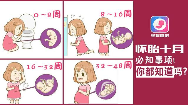 生孩子先破水还是先见红的多(先见红还是先破水)