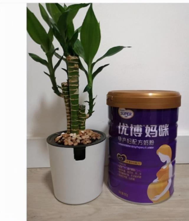 圣元婴幼儿配方奶粉(为您提供最优质的配方奶粉)