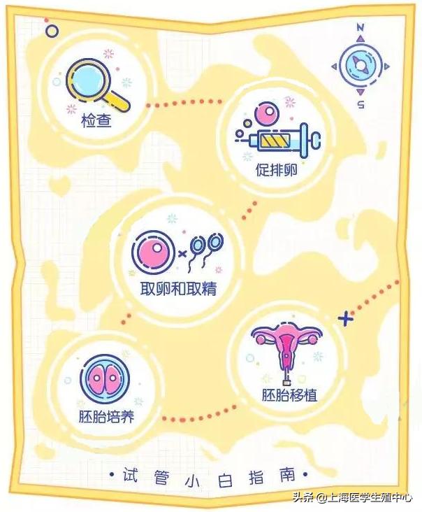 试管婴儿步骤时间（试管婴儿的步骤）