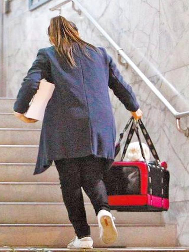 怀孕后这四种家务不要做(女性在怀孕后可以继续做家务吗)