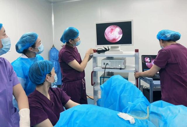 怎么知道子宫环境适不适合怀孕(子宫环境也是决定怀孕因素)