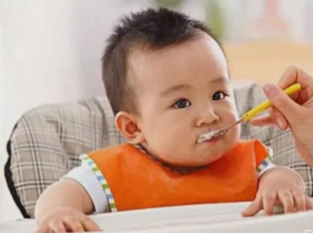 无添加儿童辅食零食（:担心宝宝辅食没味道）