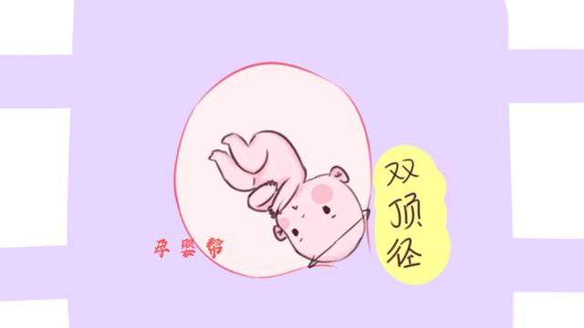 胎儿双顶径超过多少不建议顺产（胎儿双顶径太大无法顺产）