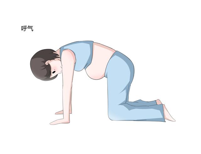 怀孕了感觉腰酸背痛怎么回事（怀孕了腰酸背痛吃不消）