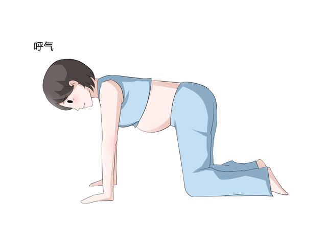 怀孕了感觉腰酸背痛怎么回事（怀孕了腰酸背痛吃不消）