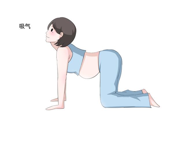 怀孕了感觉腰酸背痛怎么回事（怀孕了腰酸背痛吃不消）