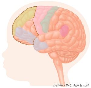 宝宝一岁一个月了囟门还没闭合（宝宝一岁囟门还没闭合咋办）