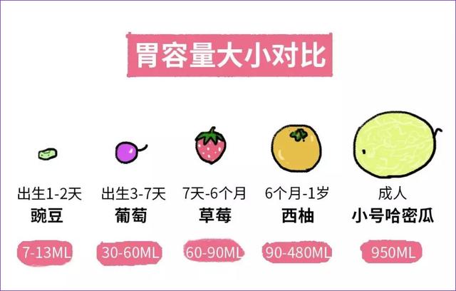 各阶段宝宝奶量变化（不同阶段宝宝奶量）